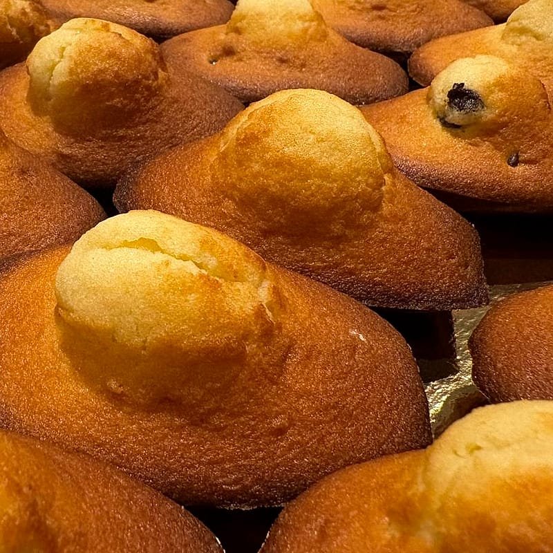 Madeleines au beurre tout juste sorties du four